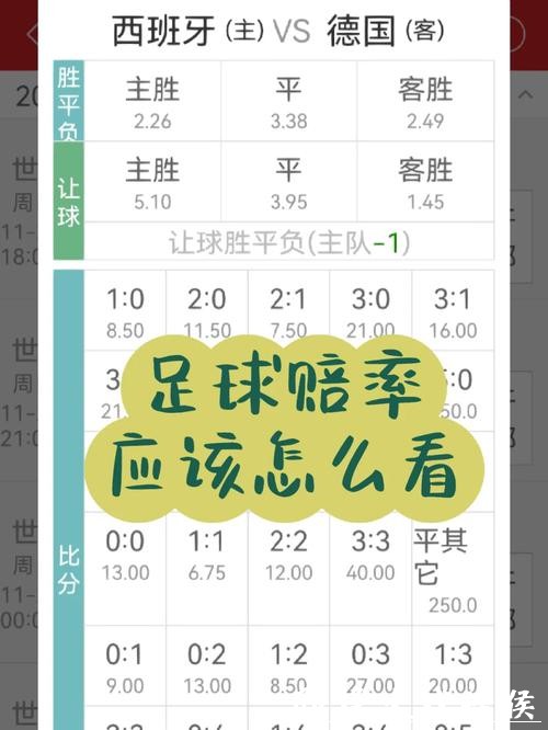 世界杯投注常见问题：解答新手疑惑